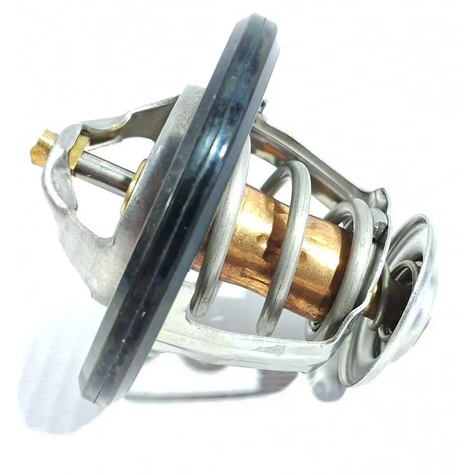 Termostato ZNA Rich 2.4 2010-2020 3