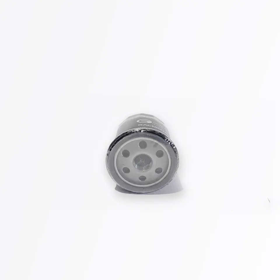 Filtro De Aceite GAC GS5 / GS3 / GS3 Power / GS4 2.0 2014-2026 1