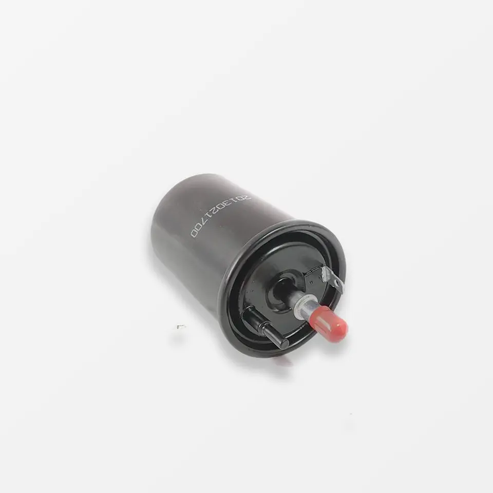 Filtro De Bencina Geely Coolray 1.5 2022-2026 2