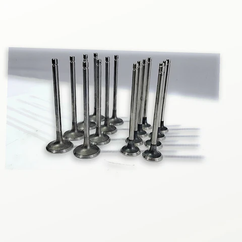 Kit Valvulas Admision Y Escape CG14 Brilliance T30 / T32 / T50 / T52 / X30 2021-2023