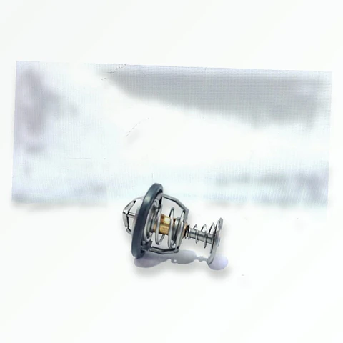 Termostato BYD F0 / Chery Arrizo 5 / Iq 1.0 / New Tiggo 1.6 / Tiggo 2 Pro / Tiggo 3 / Tiggo 7 2012-2026