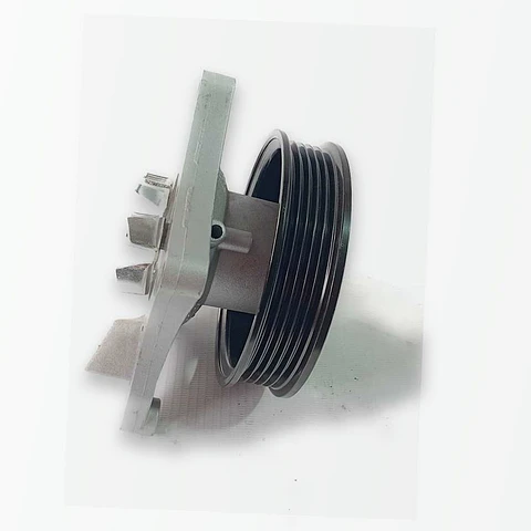 Bomba Agua Con Polea MG Gs / RX5 / Hs 1.5 2016-2026