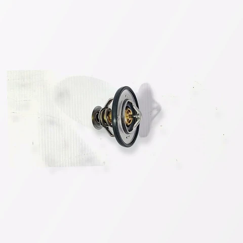 Termostato JMC Vigus / Maxus T60 2.8 / V80 2.5 2013-2026