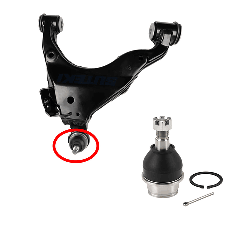 Rótula Inferior Terrain Tamer Toyota 4Runner | 2008-2024 | Japon