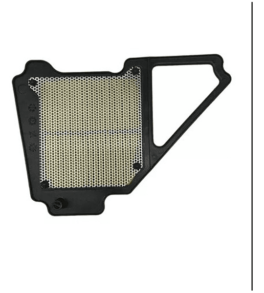 Filtro De Aire Ybr 125 (cds010)