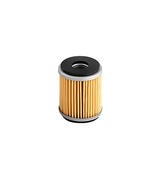 Kit De Mantencion 10w50 Sintetico Yamaha Fz25 + Filtro + bujia