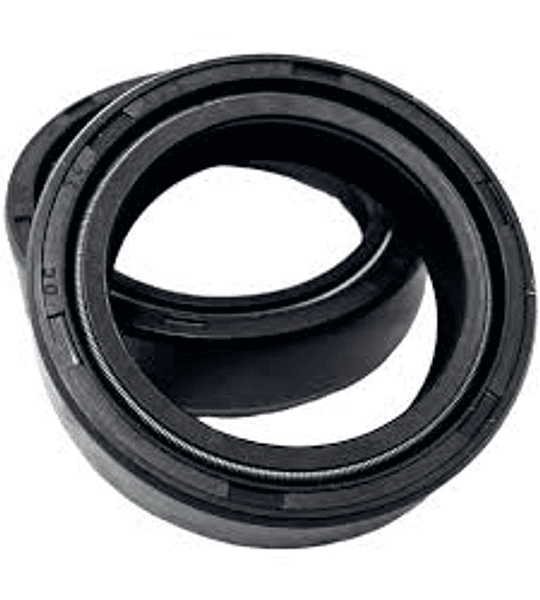 PAR RETEN TELESCOPICO YBR 125 30-40.5-10.5