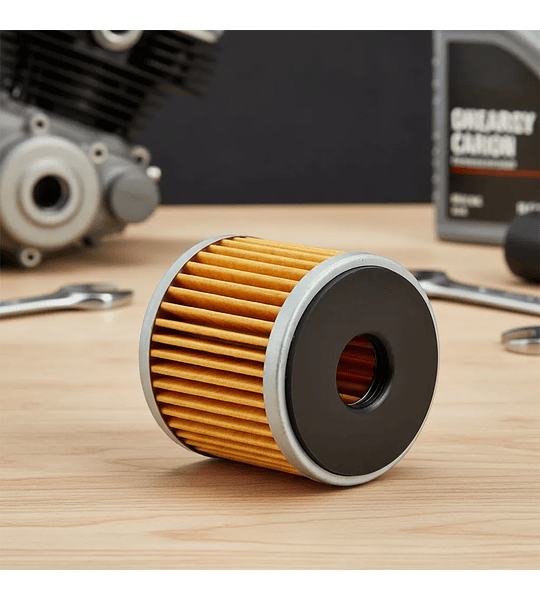 Filtro De Aceite Benelli Tnt25 