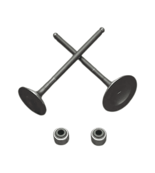 VALVULAS JGO NAVI 110 / DIO 110 VITRIX