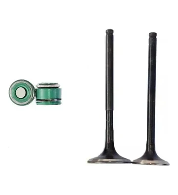 Juego Válvulas + Retenes Honda Cb1 / Twister 125
