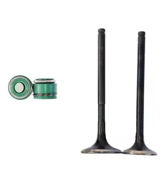 Juego Válvulas + Retenes Honda Cb1 / Twister 125