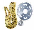 KIT TRANSMISION KTM DUKE 200 6 PERNOS ORRING DORADA MARCA: CASSARELLA