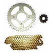 Kit De Transmision Um Dsr 200/dsf200 C/ Ttx150 Cadena Dorada