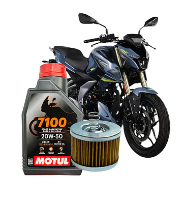 Kit De Mantención Aceite + Filtro Pulsar Ns 160