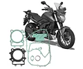 Empaquetaduras Jgo Completo Dominar 400