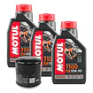 Kit De Mantención 10w50 Sintético Motul 3l Mt03 + Filtro