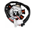 Estator Moto Yamaha Ybr 125 7 polos 