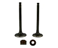 Kit Valvulas Con Retenes Para Honda Cb1 / Twister 125