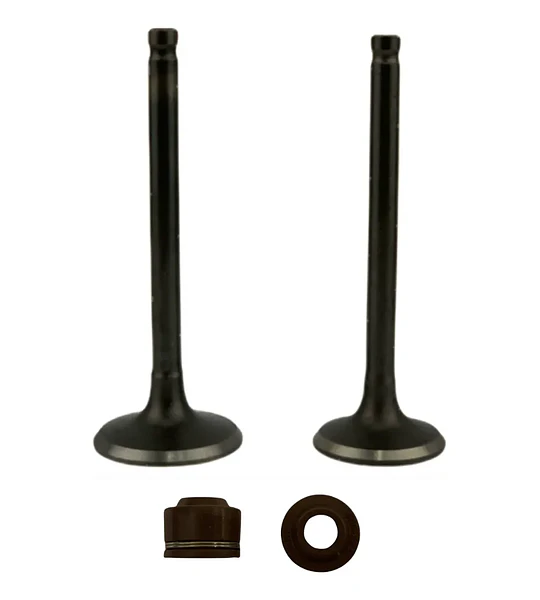 Kit Valvulas Con Retenes Para Honda Cb1 / Twister 125