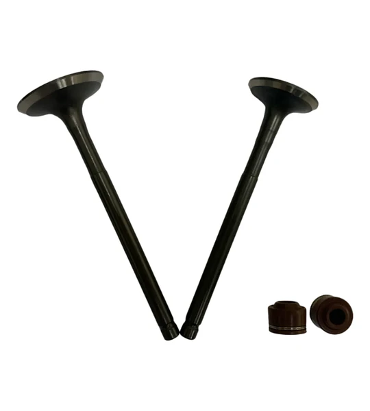 Kit Valvulas Con Retenes Para Honda Cb1 / Twister 125