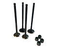 Kit Valvulas Admision Y Escape Ns 150 / Ns 160 Pulsar