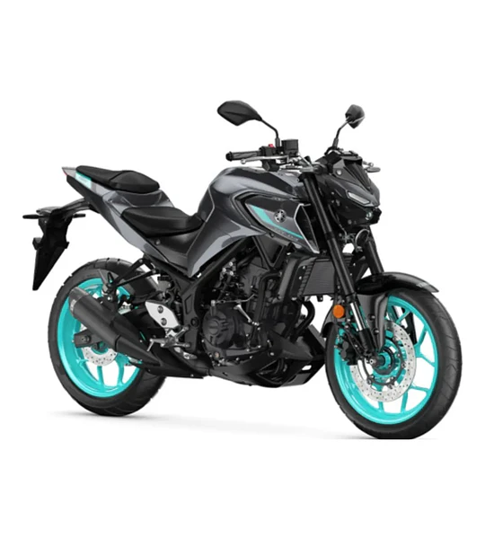 Disco De Freno Trasero Yamaha Fz 25/ Fz 3.0
