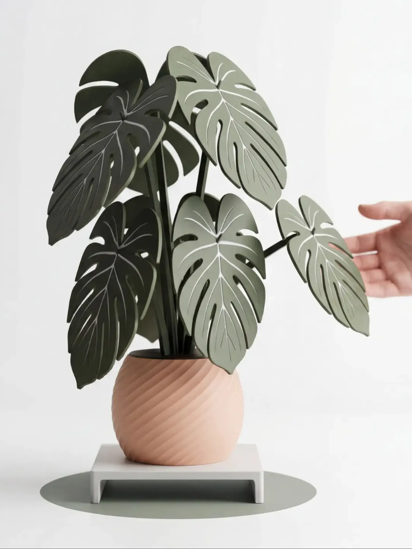 Posavasos Monstera 2