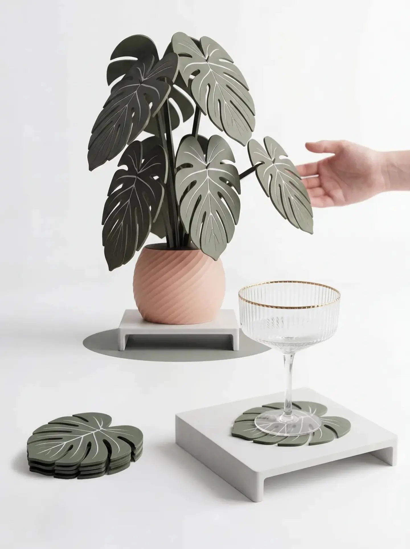 Posavasos Monstera 1