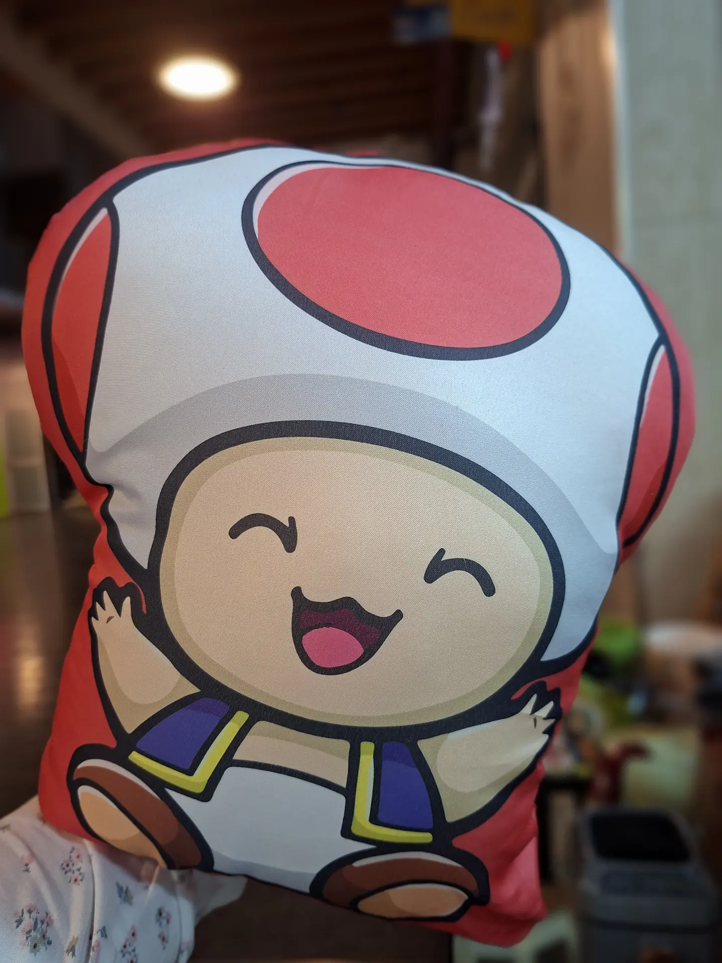 Almohadas Mario 2