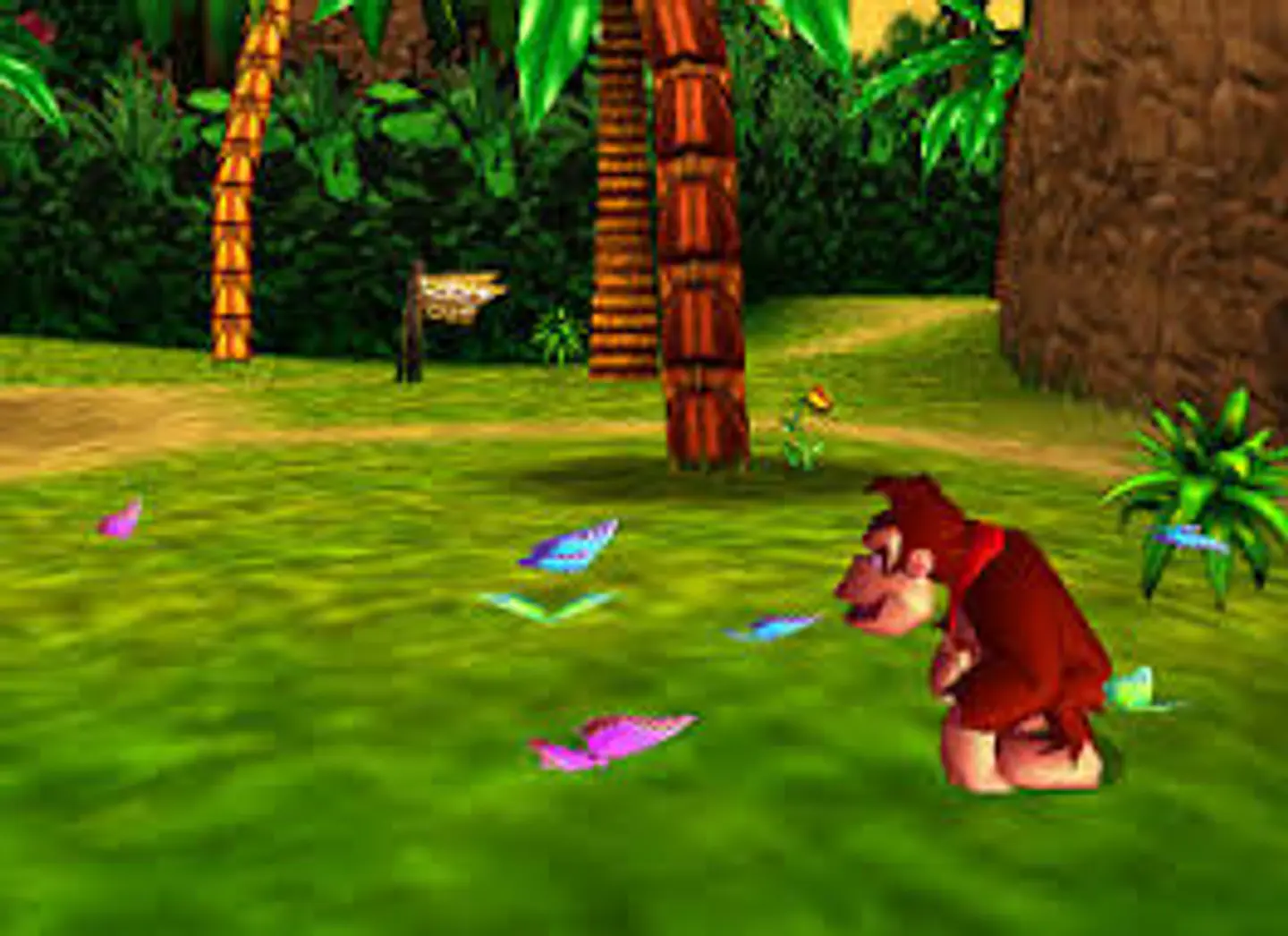 Donkey Kong 64 2