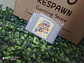 Paper mario(copia) - Miniatura 1