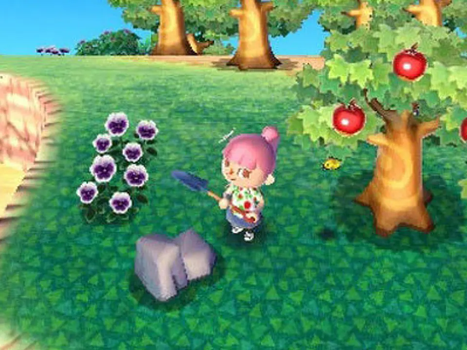 Animal crossing 2