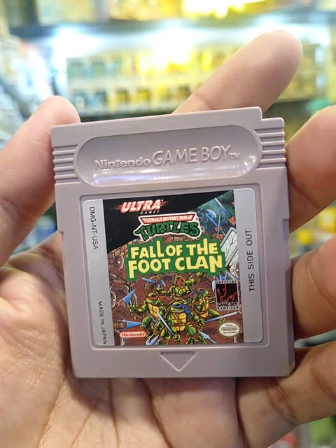Teenage mutant ninja turtles fall of the foot clan