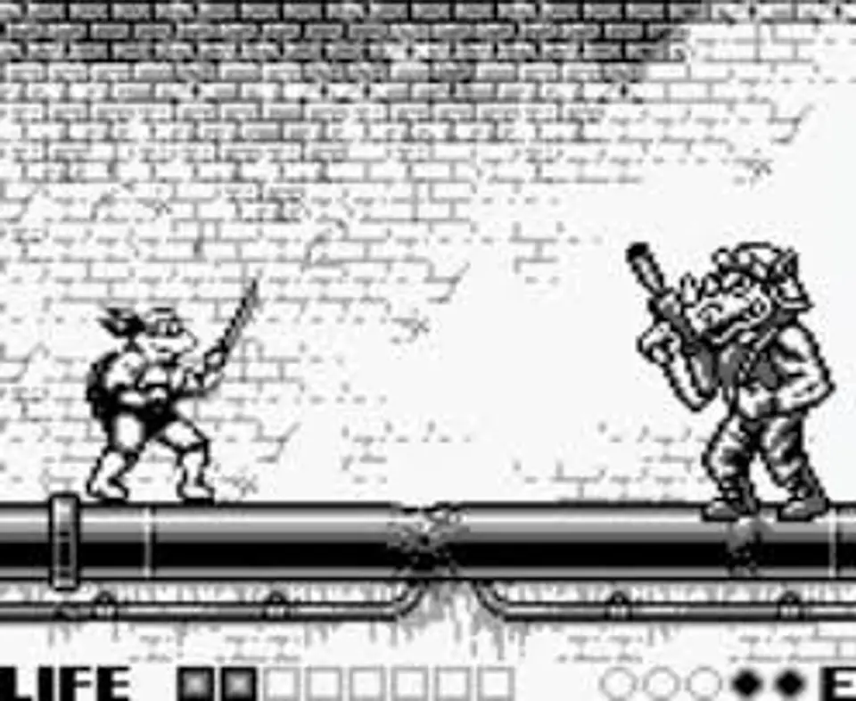 Teenage mutant ninja turtles fall of the foot clan 2