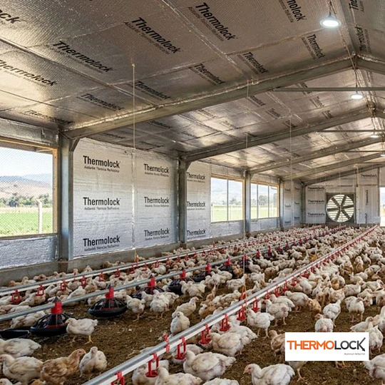 Aislante Termico Thermolock 1x15m.