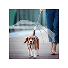 Paraguas con correa para perros 1