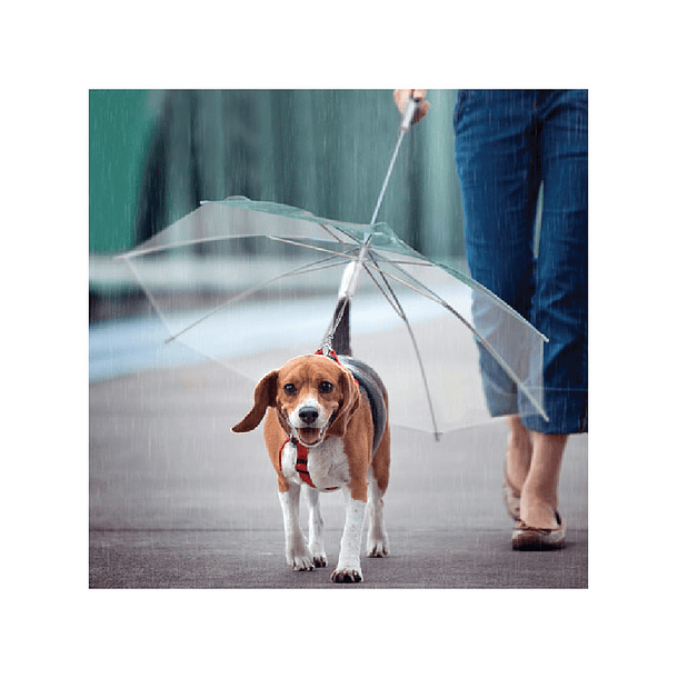 Paraguas con correa para perros 1