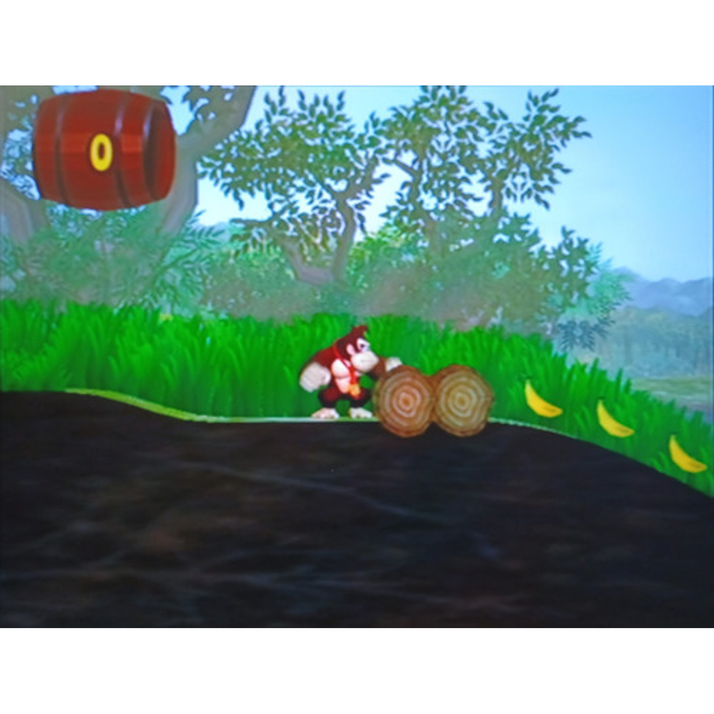 Donkey Kong Jungle Beat Wii 5