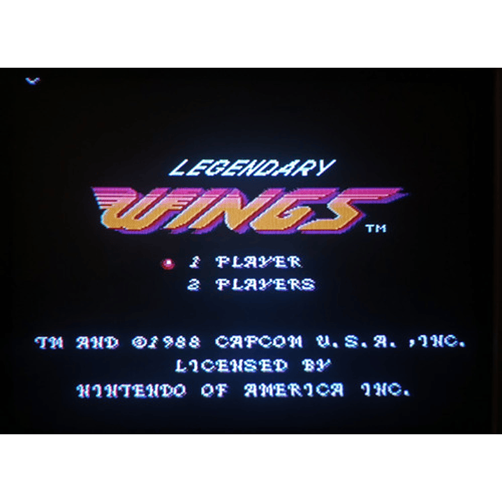 Legendary Wings Nes 2