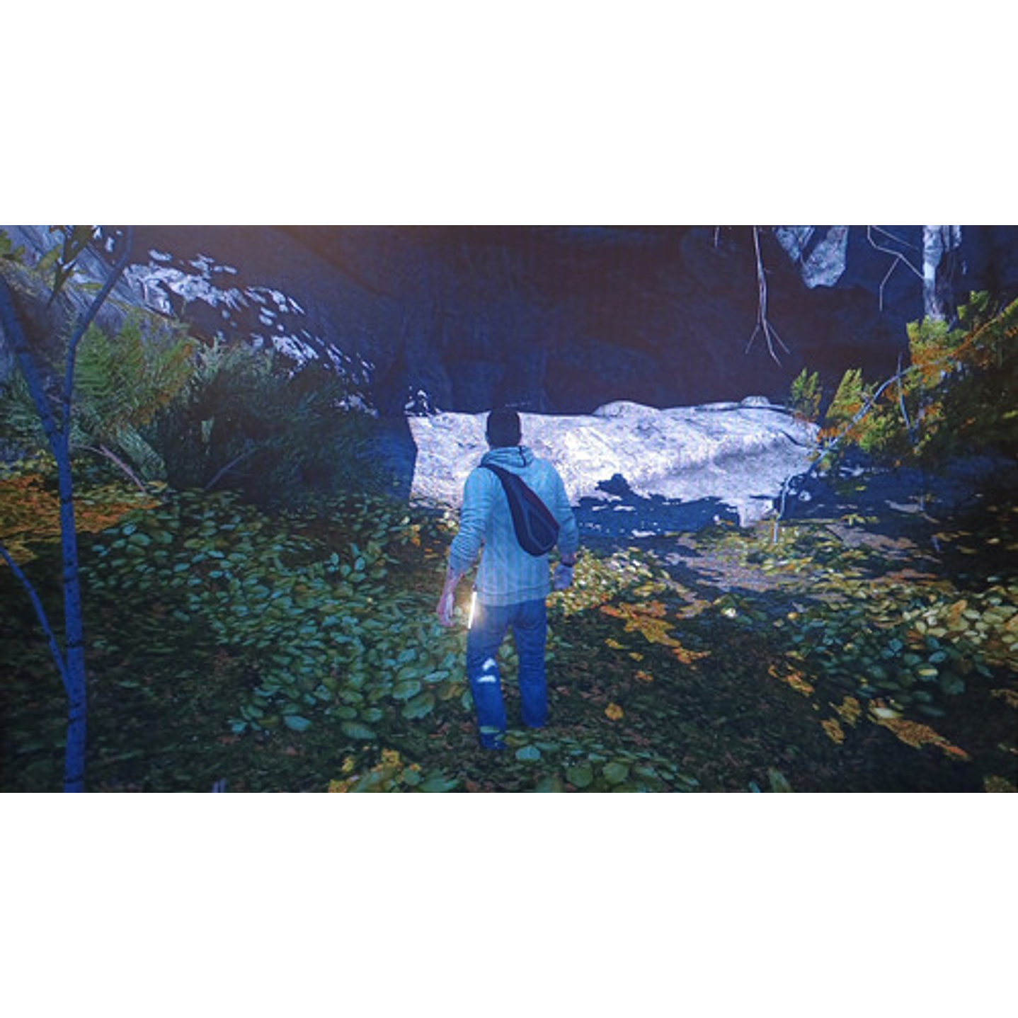 Assassin Creed 3 Ps3 6