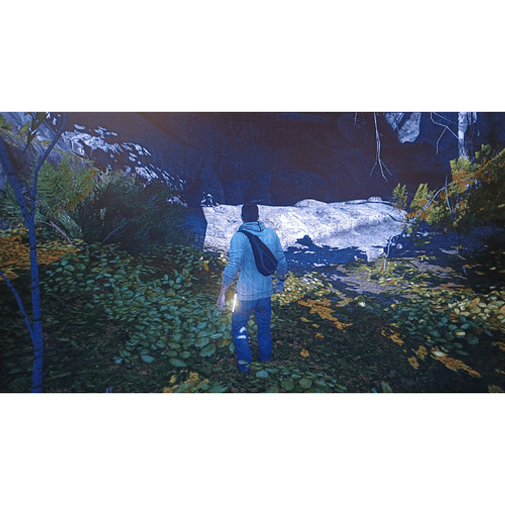 Assassin Creed 3 Ps3 6