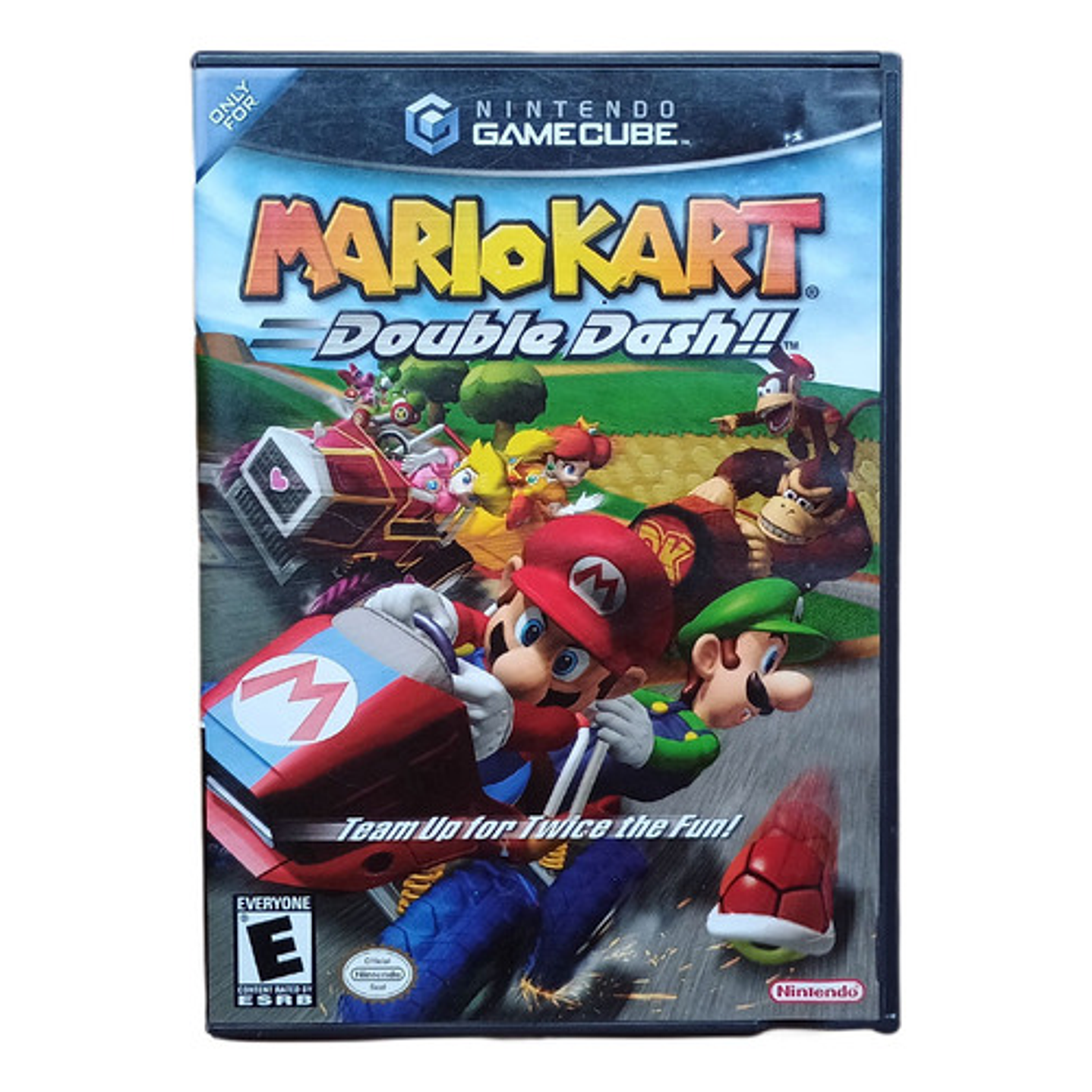 Mario Kart Dash Gamecube 1