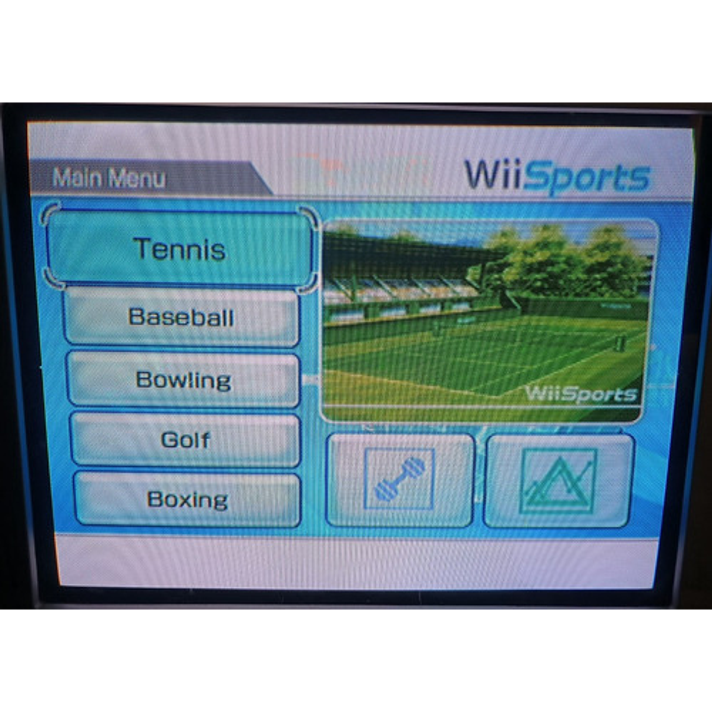 Wii Sports  5