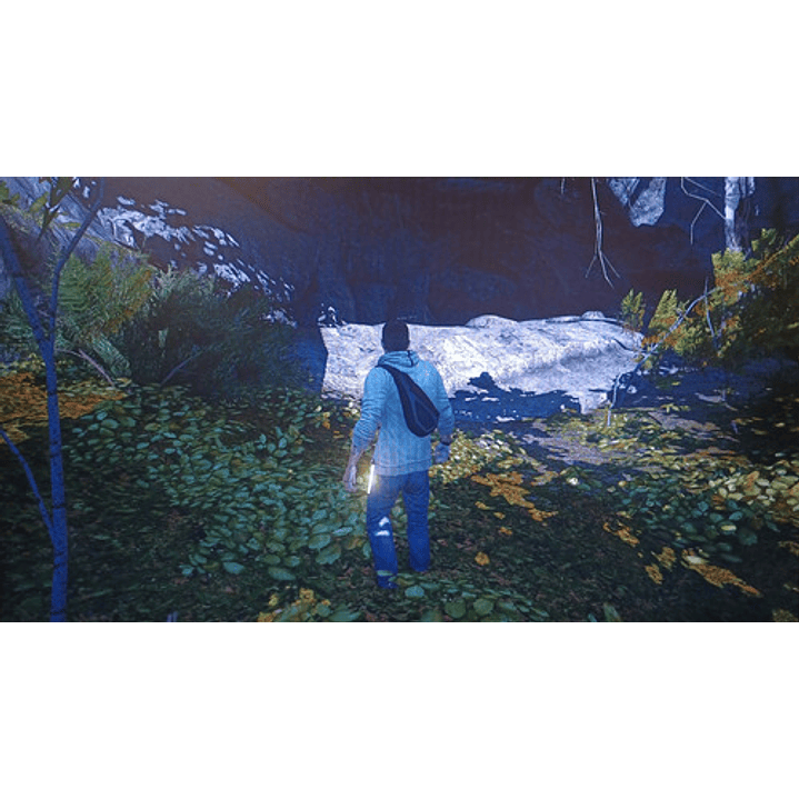 Assassin Creed  The Americas Collection Ps3 7