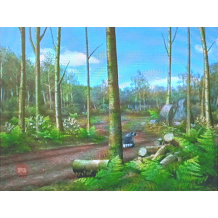 Top Shot Arcade Wii 6