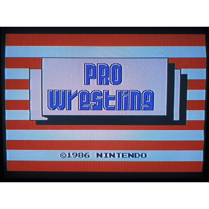 Pro Wrestling Nes 2