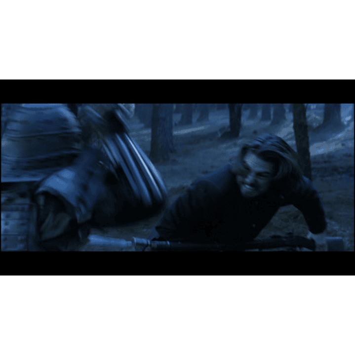 The Last Samurai Dvd 6