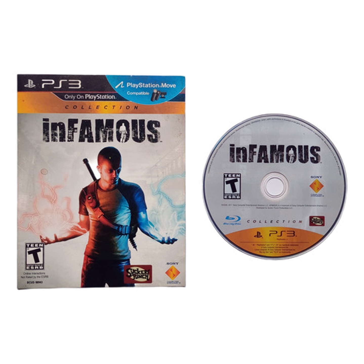 Infamous Cardboard Ps3 2