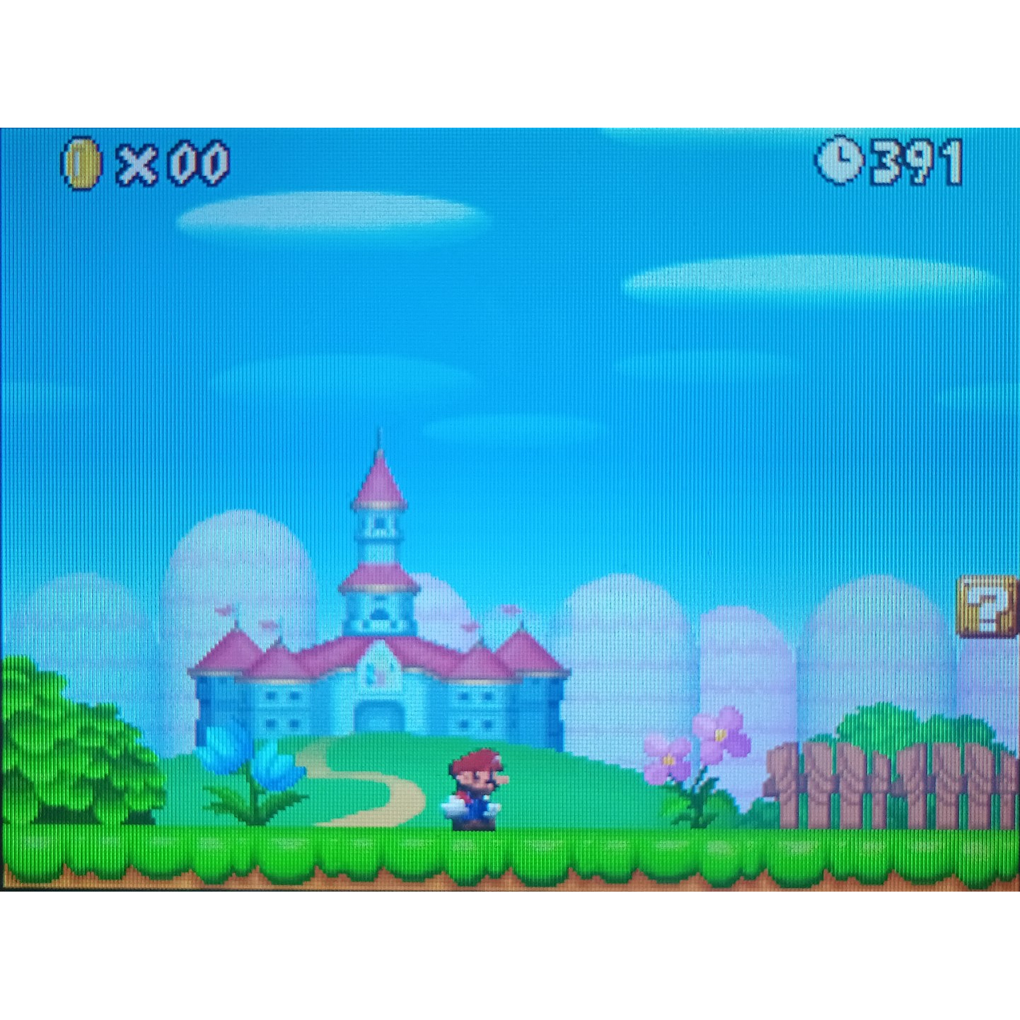 New Super Mario Bros Ds  5