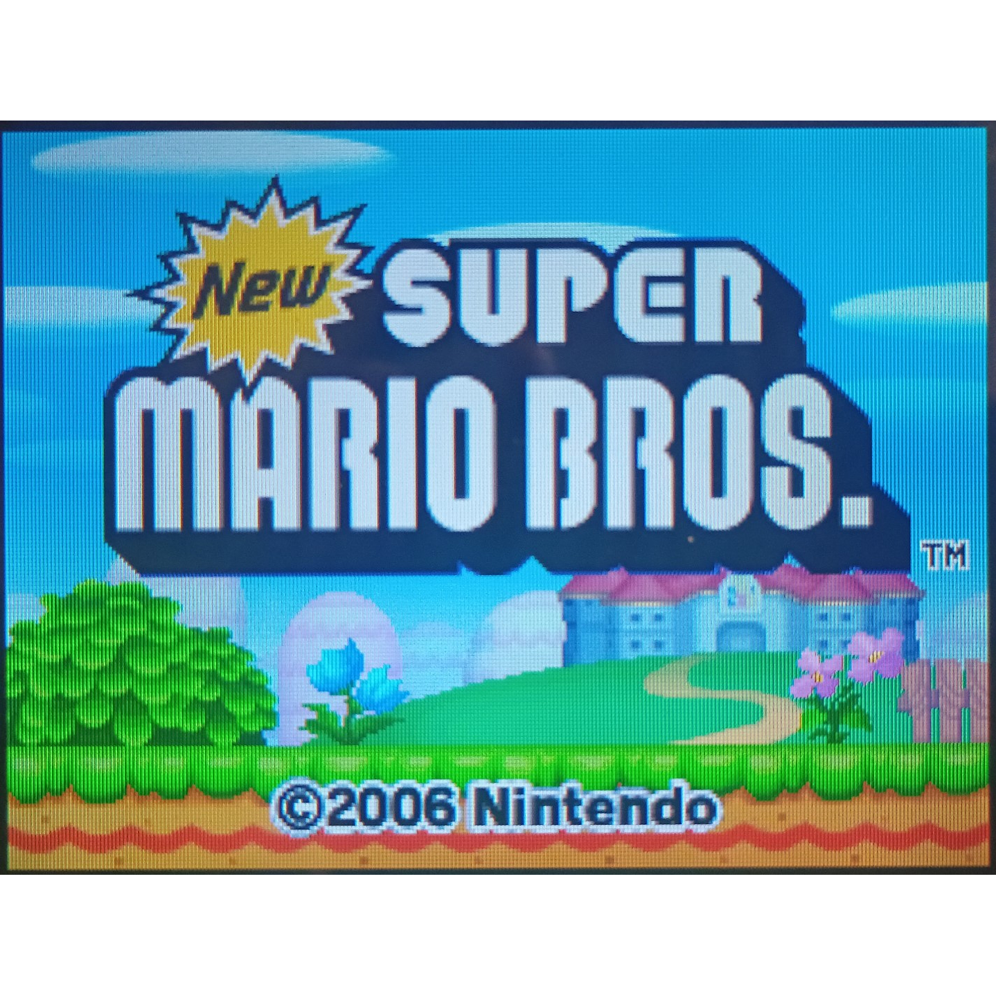 New Super Mario Bros Ds  4